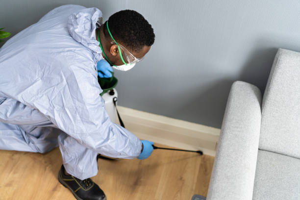 Best Real Estate Pest Inspections  in Lula, GA